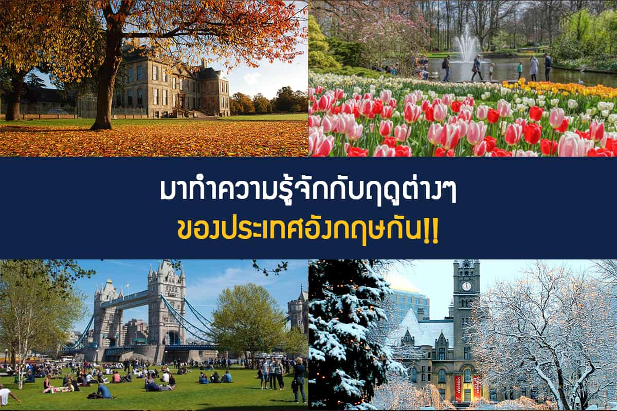 , บทความ