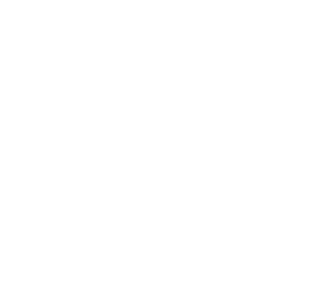 line icon